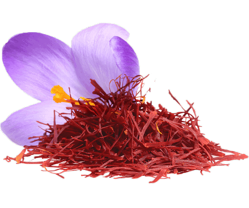 Chiết xuất nhụy hoa nghệ tây